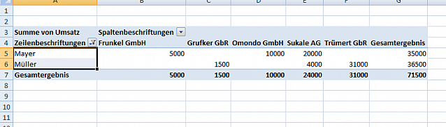 Zeilen gefiltert in einer Pivot-Tabelle