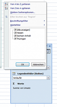 Beispiel für den Filterbereich in einem Pivot-Chart
